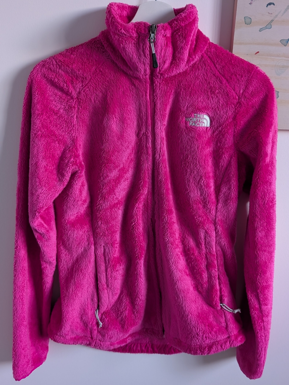 The North Face Plush Fleece Jacket in Bright Pink